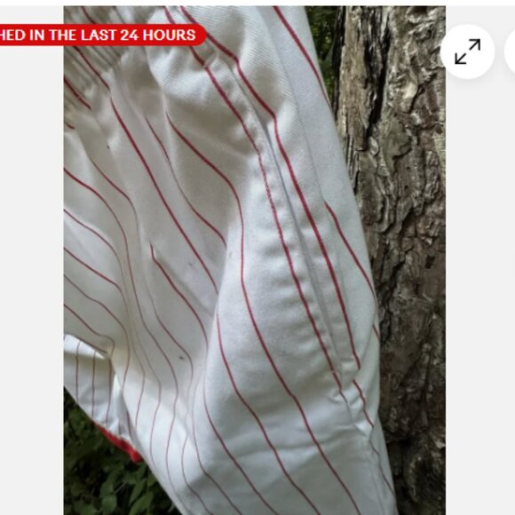 VTG Starter Cincinnati Reds 90s MLB PinStriped Shorts Mens Large White RARE - Picture 4 of 5